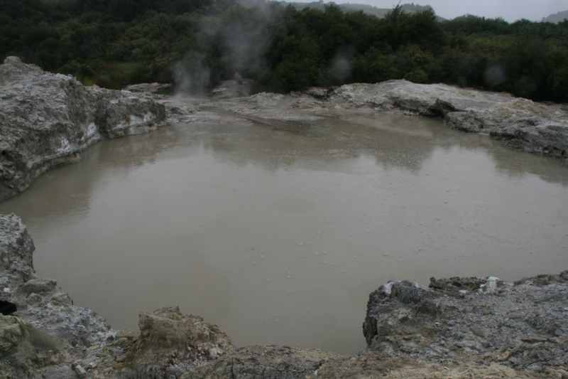 Nieuw-Zeeland 2011 - 0582